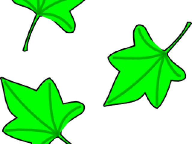 Grapes Clipart Tree - Clip Art Leaves Falling - Png Download (640x480), Png Download