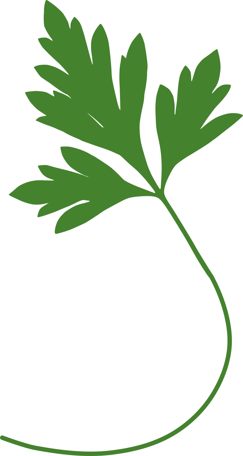 Fruit Clipart (784x1471), Png Download