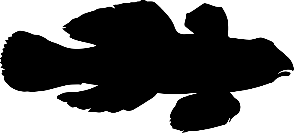 Fish Shape Of Dragonet Comments - Klavertje Vier Black And White Clipart (980x444), Png Download