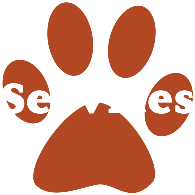 Pawow - Portable Network Graphics Clipart (1000x1000), Png Download