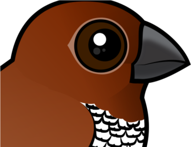 Finch Clipart Orange Bird - Png Download (640x480), Png Download