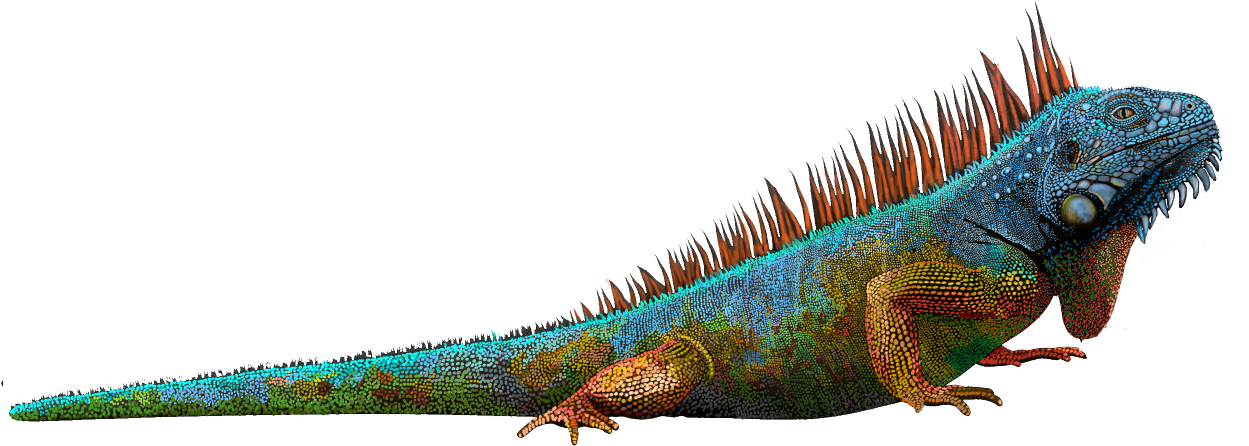 Graphic Freeuse Library Blue Huge Freebie - Green Iguana Clipart (3000x2100), Png Download