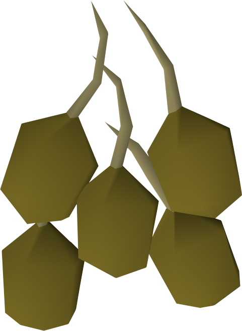 Svg Freeuse Stock Seed Runescape Wiki Fandom Powered Clipart (481x657), Png Download