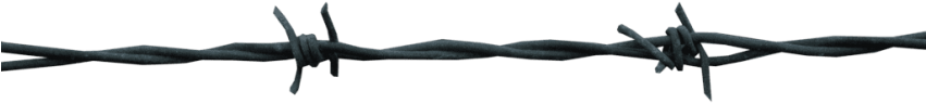 Barbwire Free Images Toppng - Barbed Wire Clipart (850x566), Png Download
