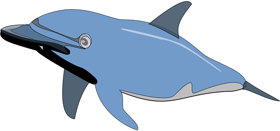 Spinner Dolphin Clipart Swimming Animal - Png Download (960x480), Png Download