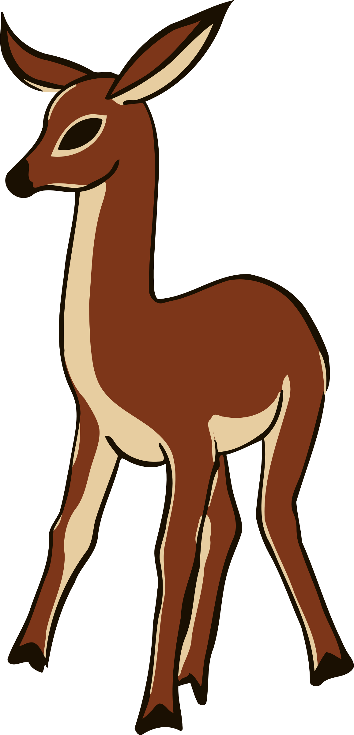 Big Image - Deer Clipart (1156x2400), Png Download