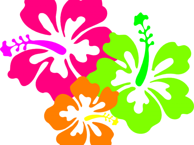 Hawaii Border Cliparts - Png Download (640x480), Png Download