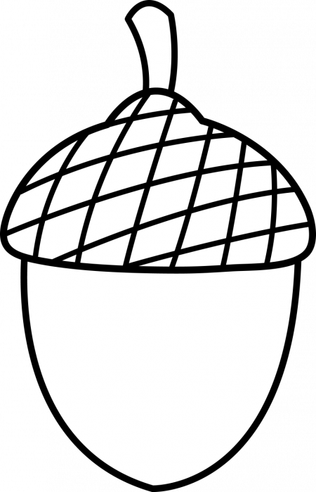 Nuts Drawing - Acorn Colouring Pages Clipart (450x699), Png Download