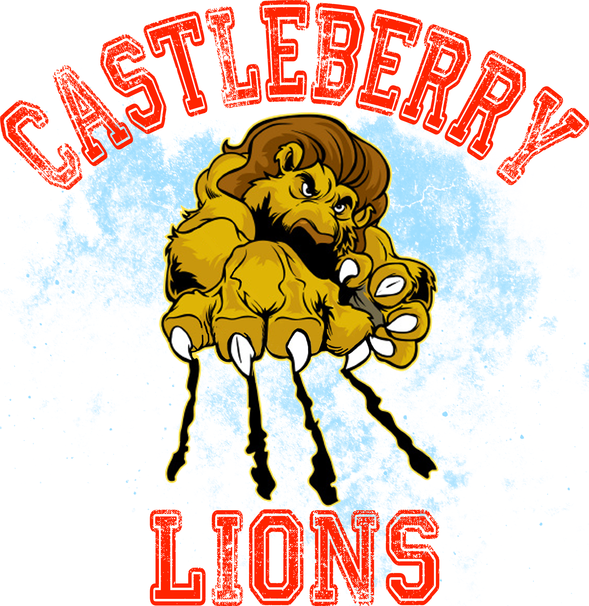 Lions T Shirts Mascot T Shirts - Lion Mascot Shirts Clipart (1905x1961), Png Download