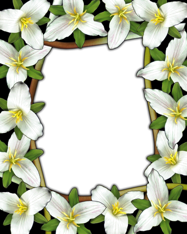 Frame Clipart, Framed Art, Clip Art, Frames, White - Prayer For The Sick - Png Download (600x750), Png Download