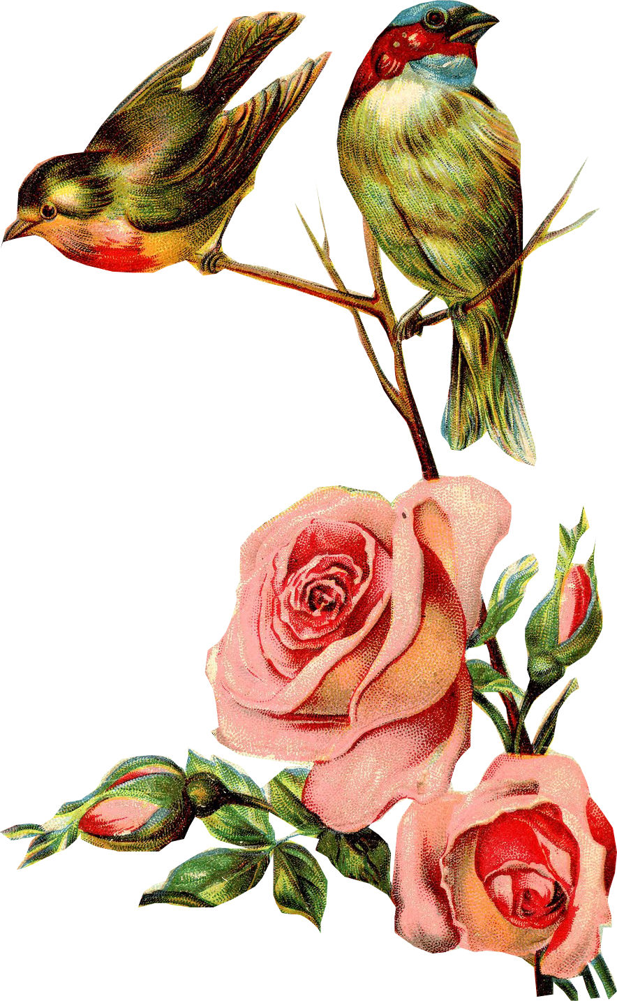 Resultado De Imagen Para Ramos De Flores Vintage Para - Ramo De Flores Vintage Dibujo Clipart (884x1433), Png Download