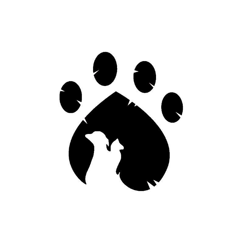 Born, Netherlands Clipart (799x800), Png Download