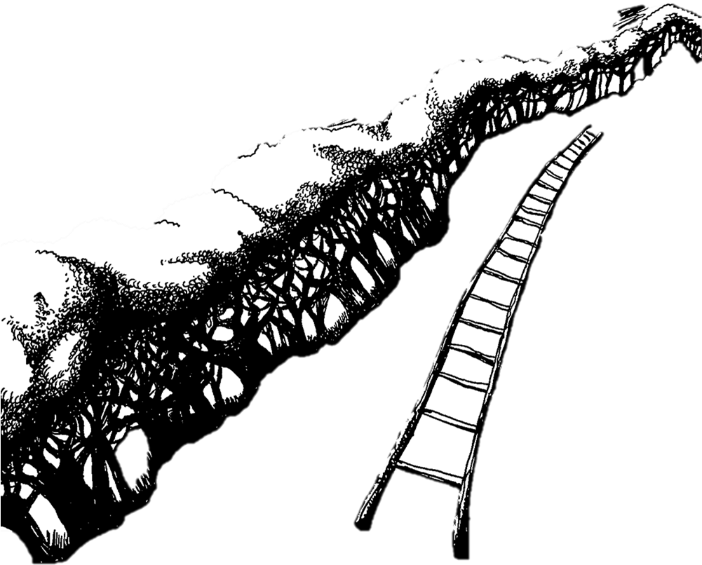 Urca- Illustration - Illustration Clipart (1000x961), Png Download