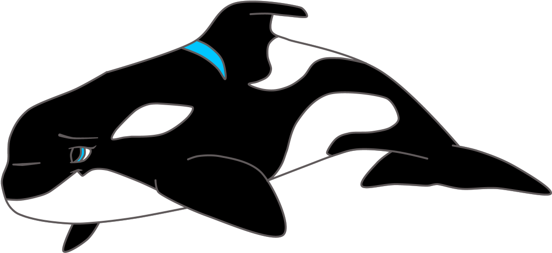 Dolphin Clipart Images Black And White - Dolphin - Png Download (1098x503), Png Download