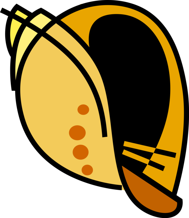 Sea Shells Image Illustration Of Aquatic Mollusk Clipart (606x700), Png Download