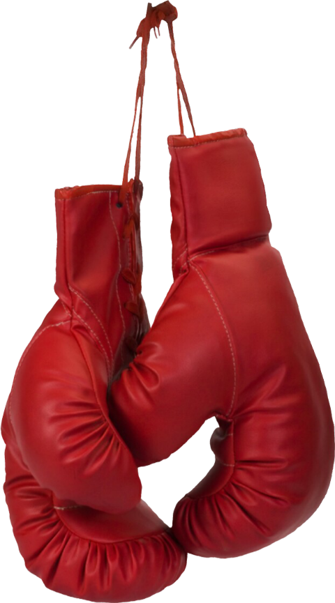 Red Boxing Gloves Png Clipart (480x865), Png Download