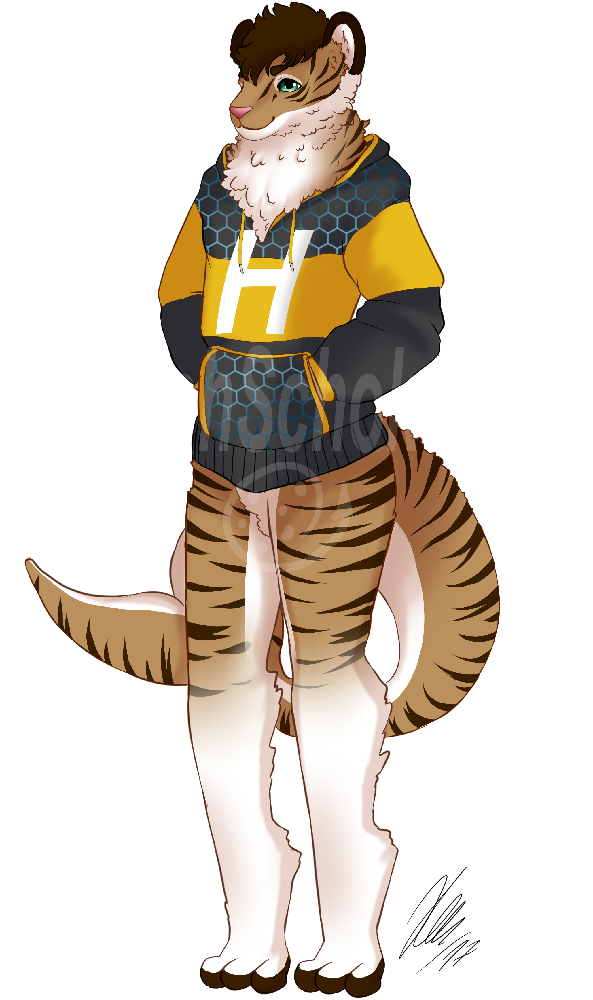 The Tigershark - Fur Clipart (2099x3507), Png Download