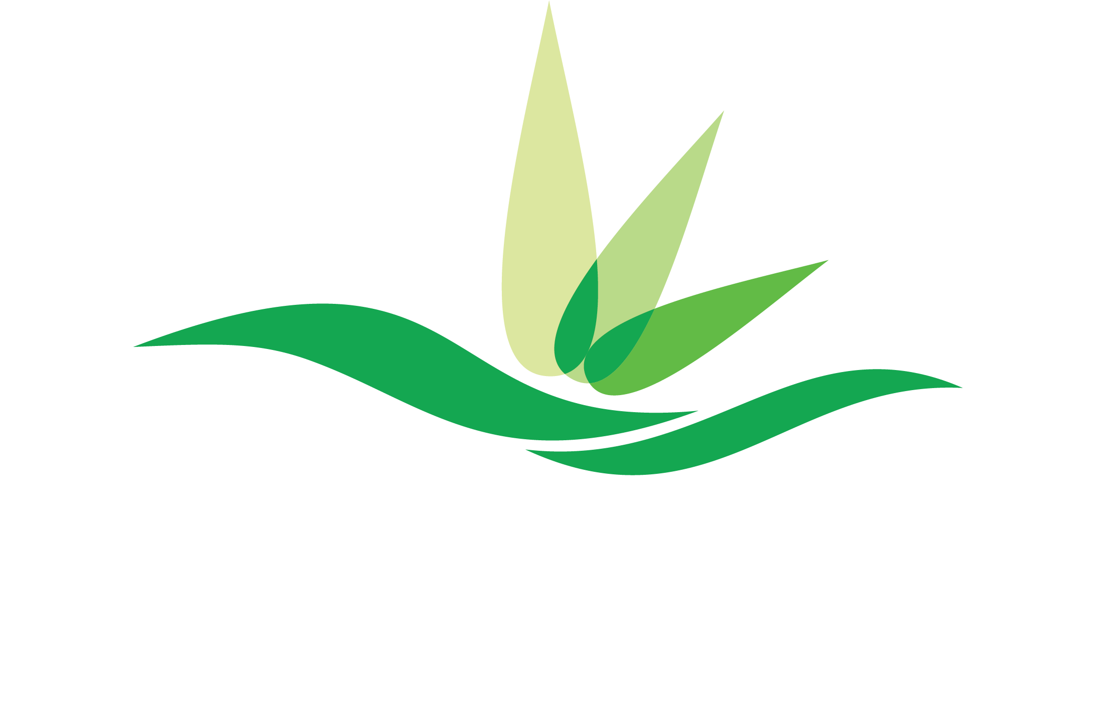 English Vietnamese - Liberty Hotel Clipart (5322x1826), Png Download