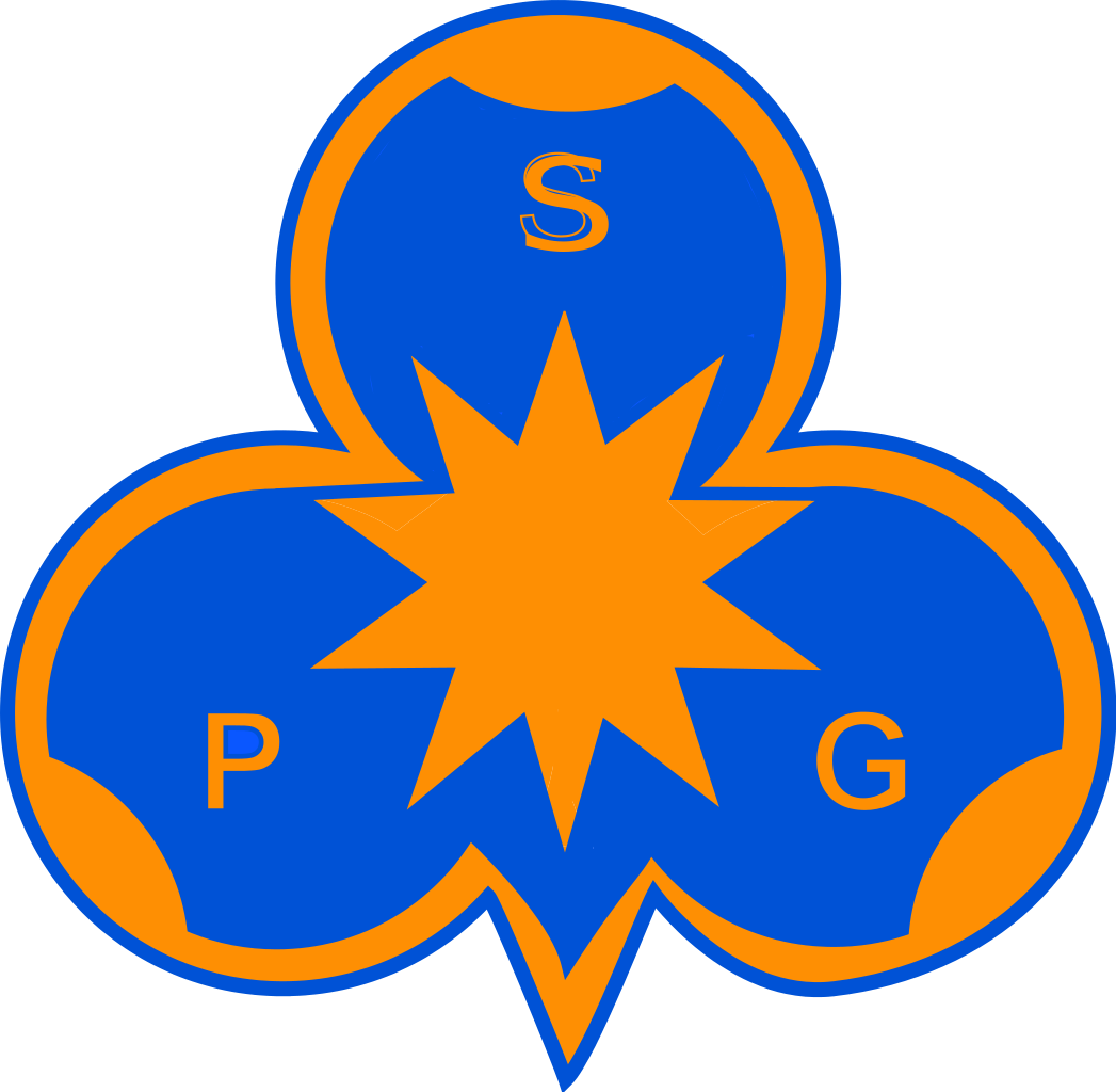 Surinamese Girls Guides' Council Girl Guides, Boy Scouts, - Viceroyalty Of New Granada Flag Clipart (1047x1024), Png Download