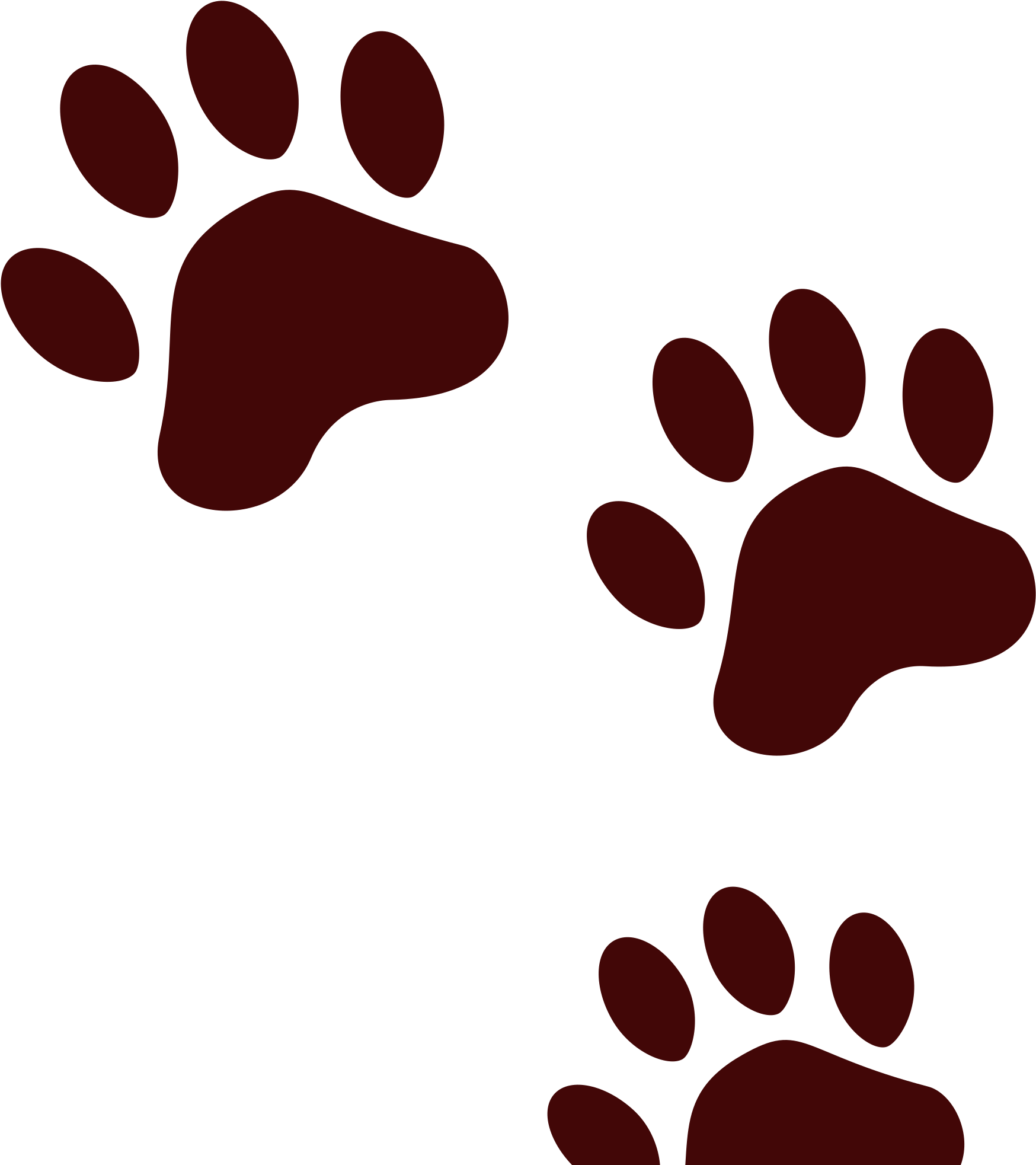 Bear Shop Of Library Buy Clip Art - Svg Paw Prints - Png Download (2000x2000), Png Download