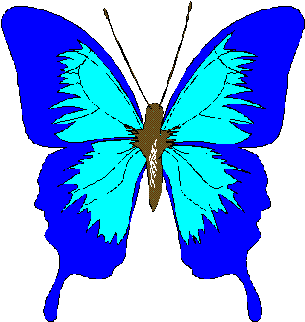 3 - Blue Butterfly Design Shower Curtain Clipart (719x959), Png Download