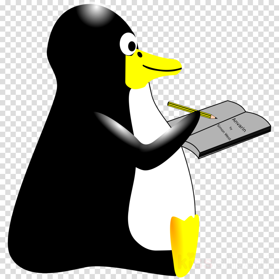 Clip Art Clipart Penguin Clip Art - Clip Art - Png Download (900x900), Png Download