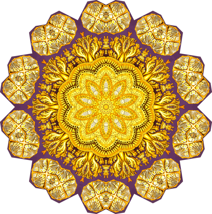 Discomedusae Drawing Jellyfish Symmetry Poster - Poster: Discomedusae Nature Print Poster By Ernst Haeckel, Clipart (744x750), Png Download