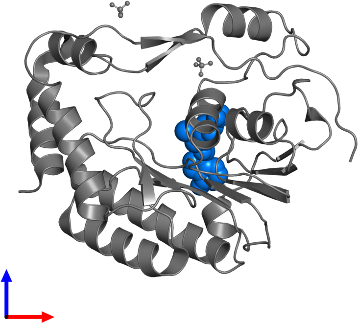 <div Class='caption-body'>pdb Entry 5m5b Contains 1 - Illustration Clipart (800x800), Png Download