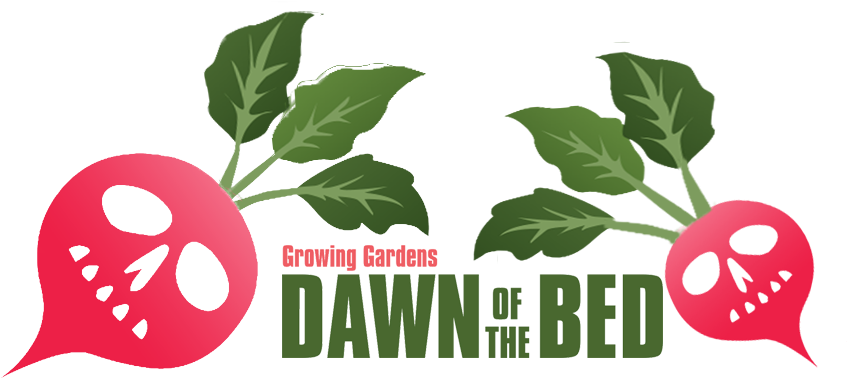 See How We Did Last Year - Cine De San Sebastian Clipart (868x464), Png Download