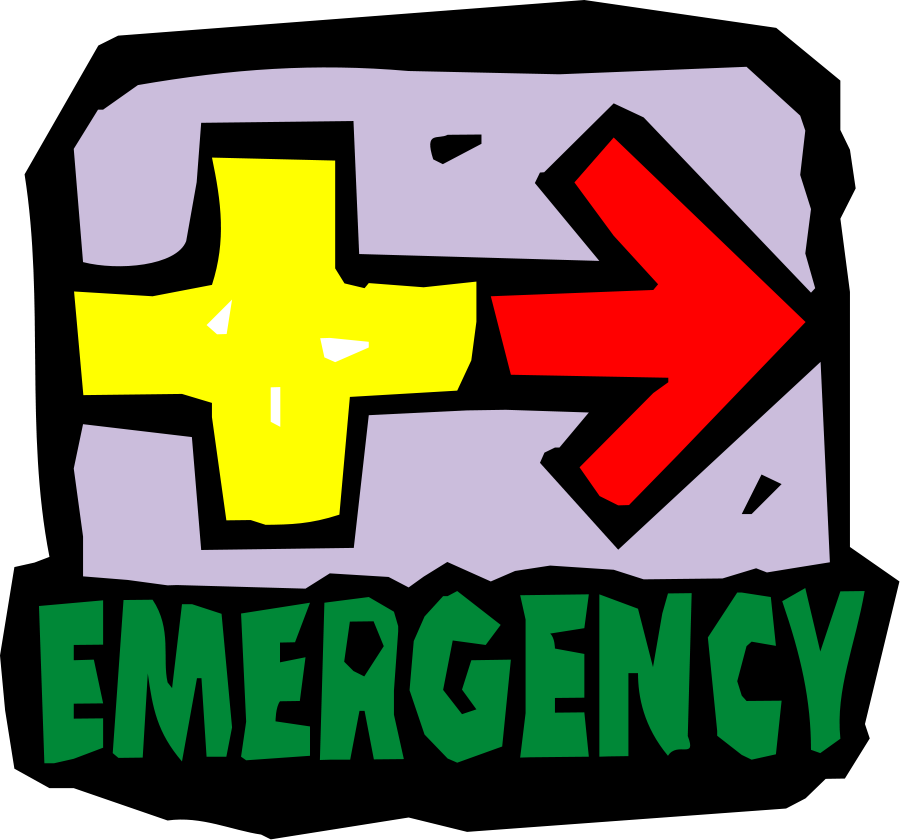 Medical 16 Png Clip Arts - Emergency Clipart Transparent Png (600x560), Png Download