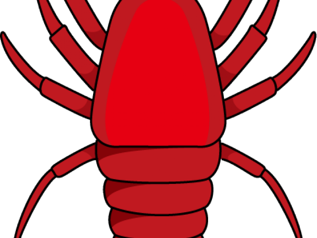 Shrimp Clipart (640x480), Png Download