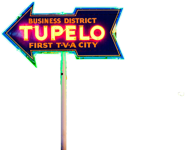 Back - Steele's Dive Clipart (828x552), Png Download