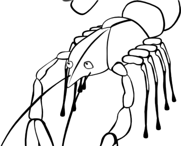 Crawfish Clipart Black And White - Png Download (640x480), Png Download