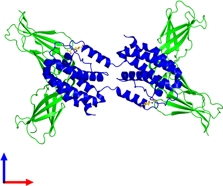 Tetrameric Assembly 1 Of Pdb Entry 1lqs Coloured By - Graphic Design Clipart (800x800), Png Download