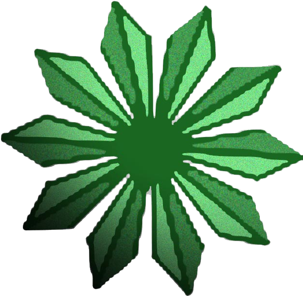 Palm Tree Plan Png Download - Flower Clipart (672x752), Png Download