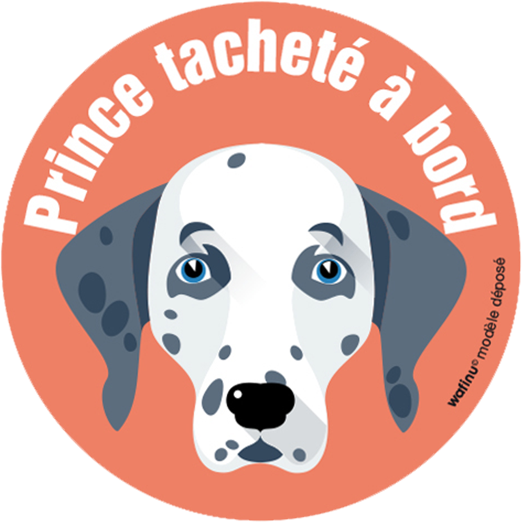 Dalmatien - Autocollant Rond - Dog Faces Vector Clipart (800x800), Png Download