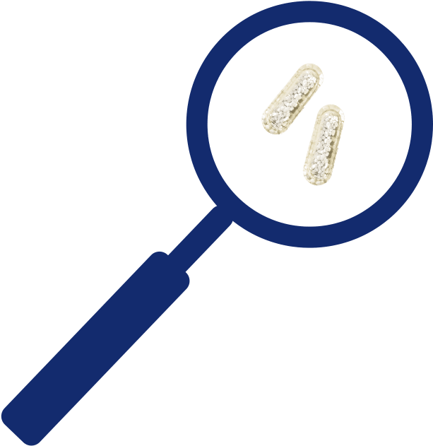 Magnifying-glass - Magnifying Glass Clipart (1000x1000), Png Download