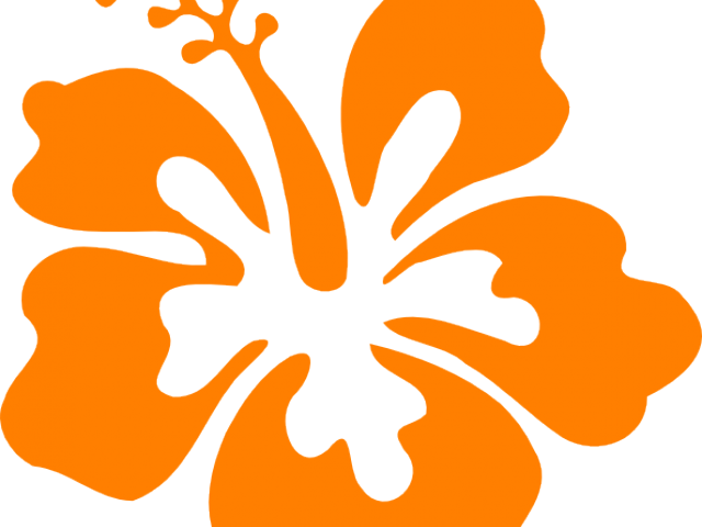 Hibiscus Clipart Yellow - Hibiscus Clip Art - Png Download (640x480), Png Download