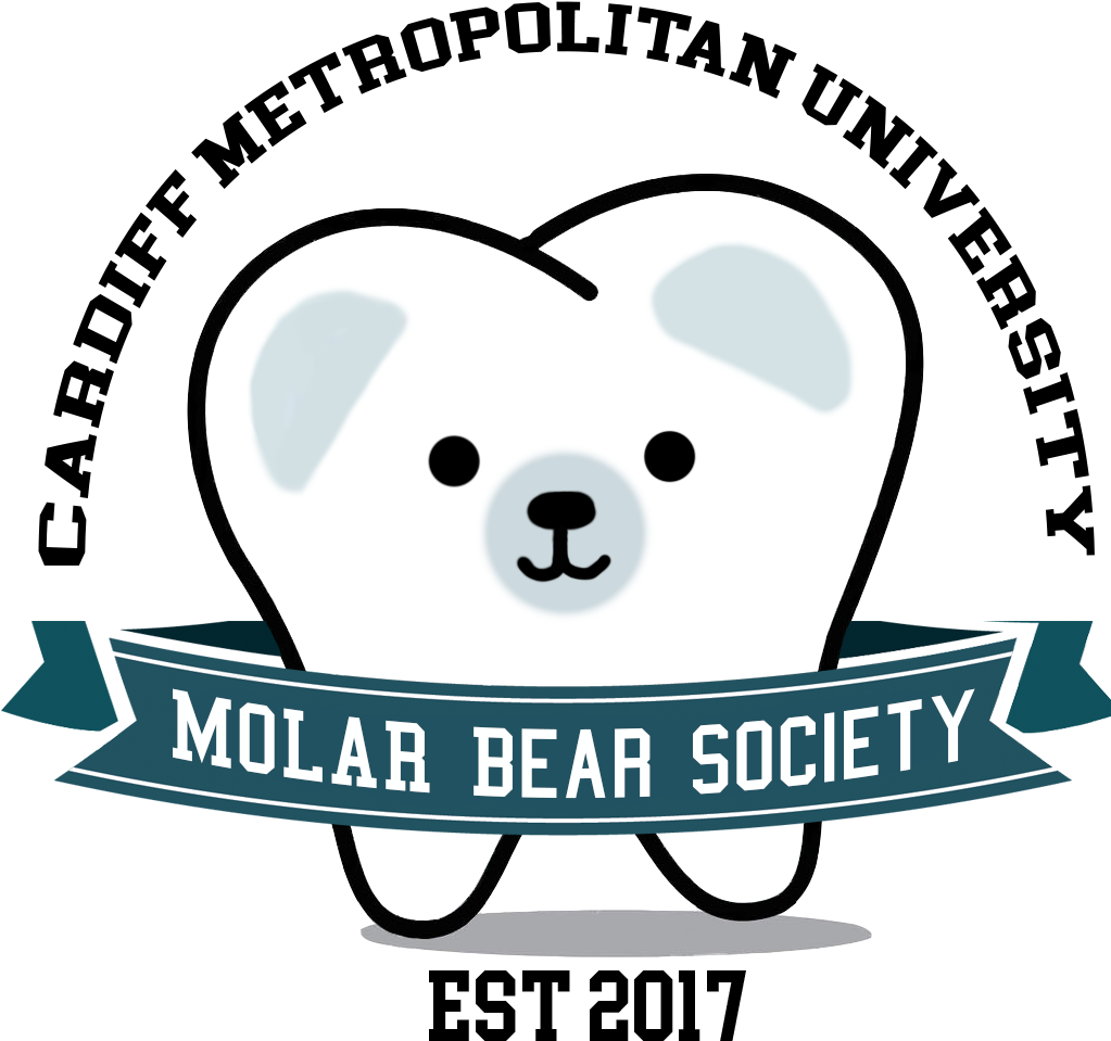 Molar Bears Logo - Bear Clipart (1150x1030), Png Download
