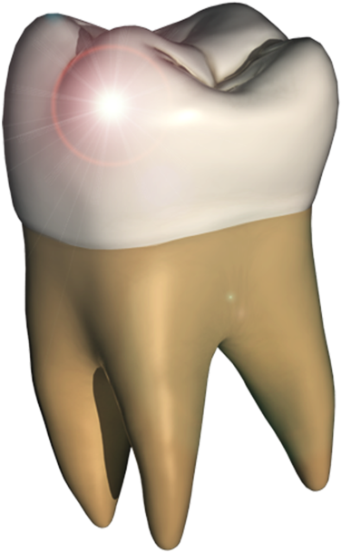 Perfect Tooth Dans Le Mac App Store - Tooth Clipart (630x630), Png Download