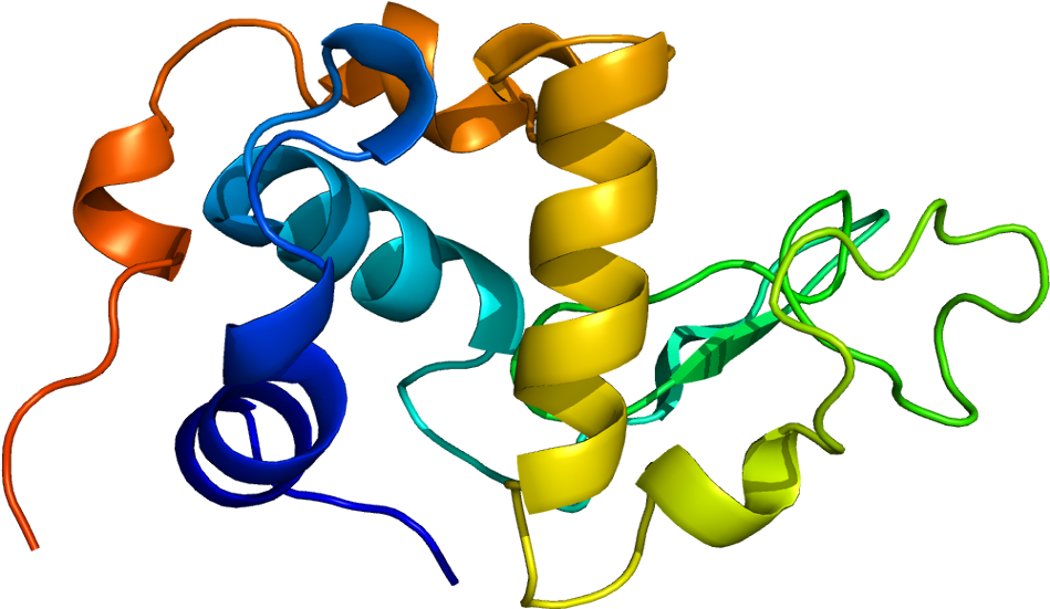 Alpha Lactalbumin Protein Clipart (998x600), Png Download