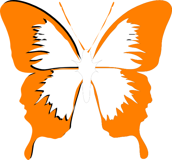 Butterfly Clip Art - Png Download (600x558), Png Download