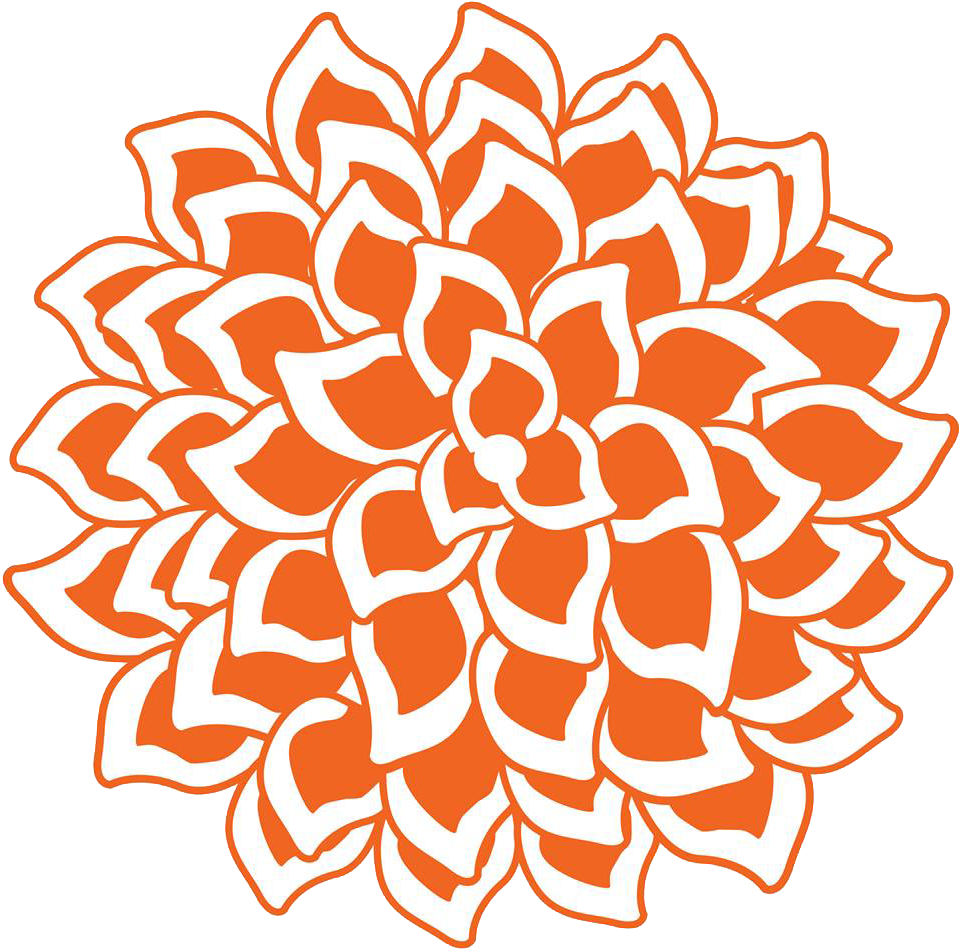 Don Fresco Mexican Eatery Clipart (969x970), Png Download