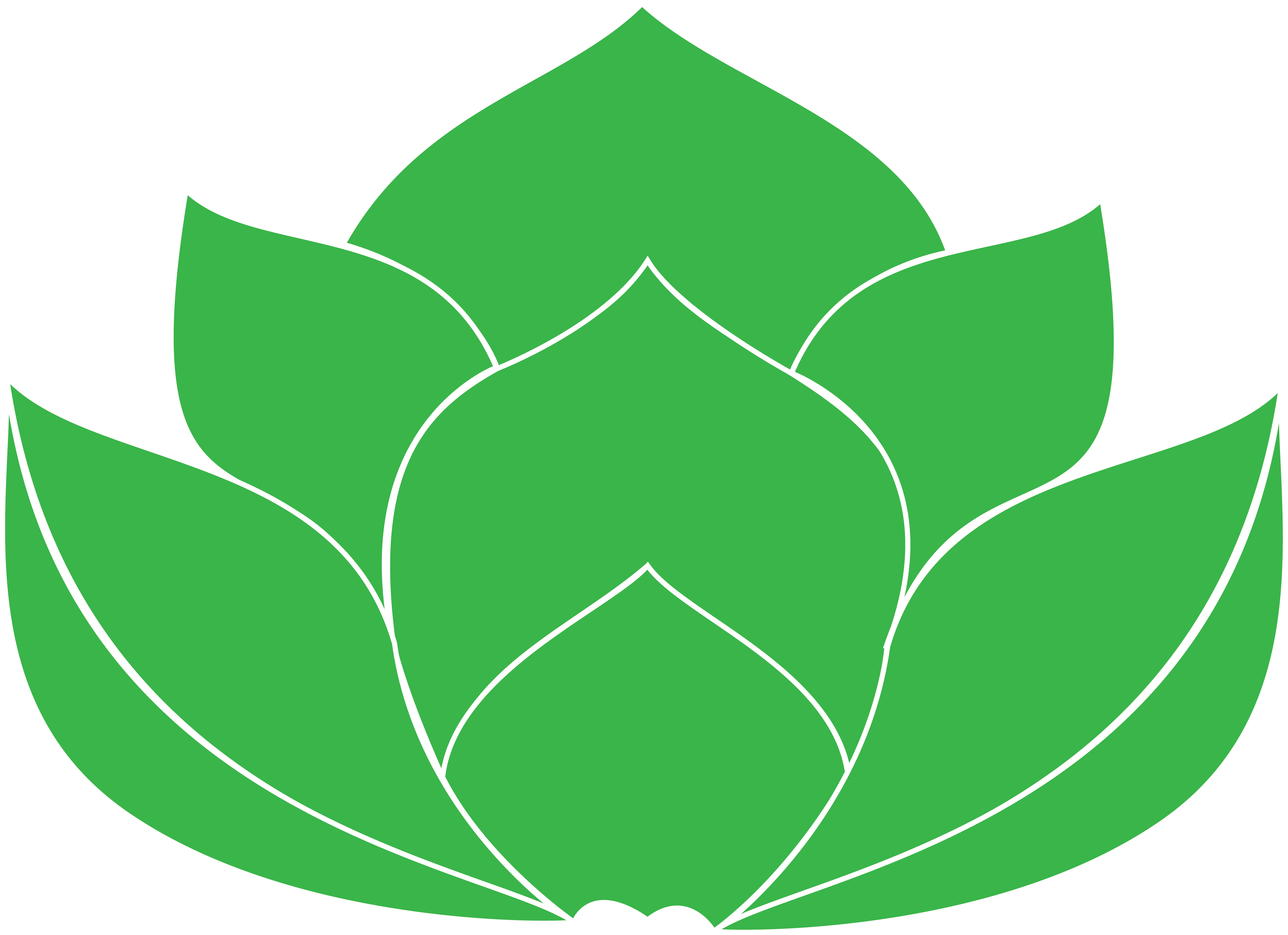 Png Coloured - Floral Design Clipart (4218x3062), Png Download