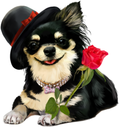 Animal Clipart - Красивые Открытки С Днем Рождения Алле - Png Download (600x578), Png Download