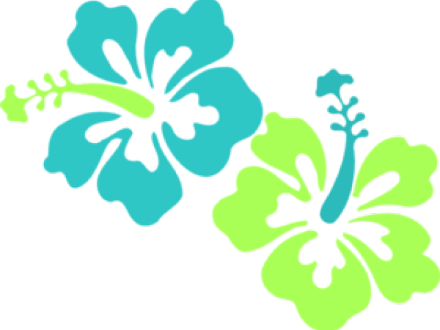 Hibiscus Clipart Cricut - Hibiscus Clip Art - Png Download (640x480), Png Download