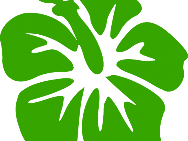 Hibiscus Clipart Green - Png Download (640x480), Png Download