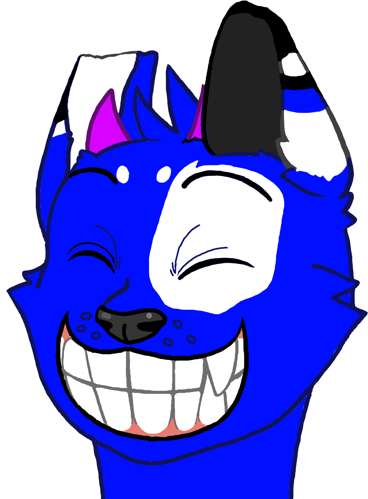 Photograph Clipart (2132x1704), Png Download