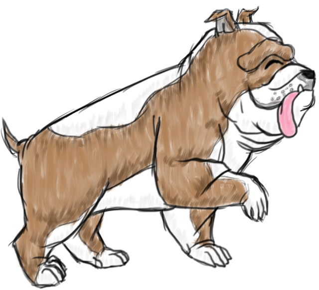 Duke The English Bulldog - Bulldog Clipart (787x787), Png Download