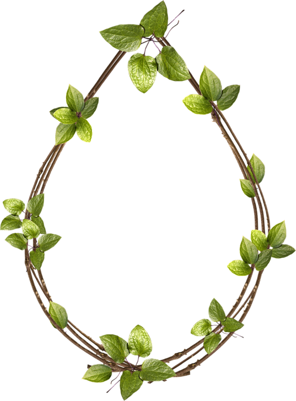 Tubes Cadres Clip Art, Frames, Illustrations - Clip Art - Png Download (591x800), Png Download